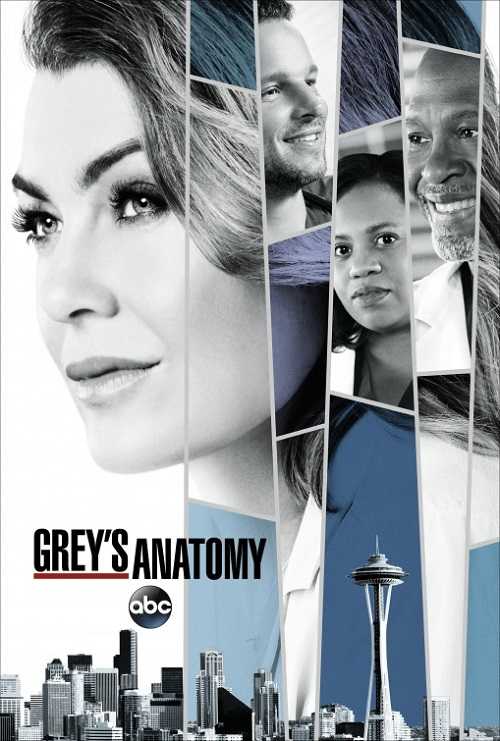 مسلسل Greys Anatomy الموسم 14 الحلقة 24