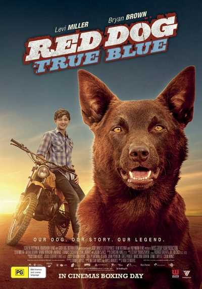 فيلم Red Dog: True Blue 2016 مترجم