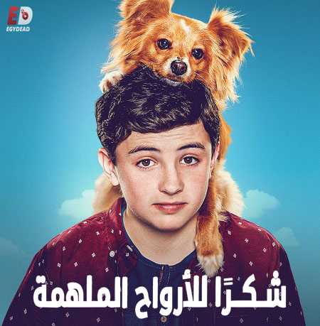 مسلسل The Healing Powers of Dude الحلقة 8 مترجمة